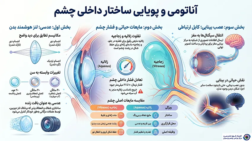 اجزای داخلی و محیطهای شفاف چشم