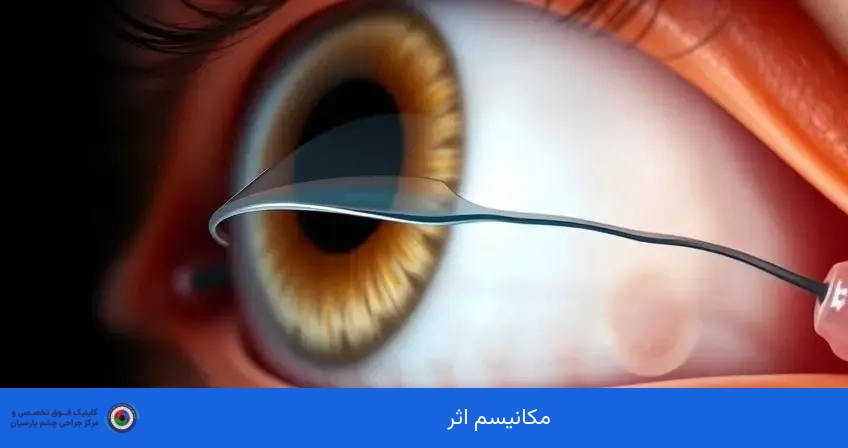 مکانیسم اثر